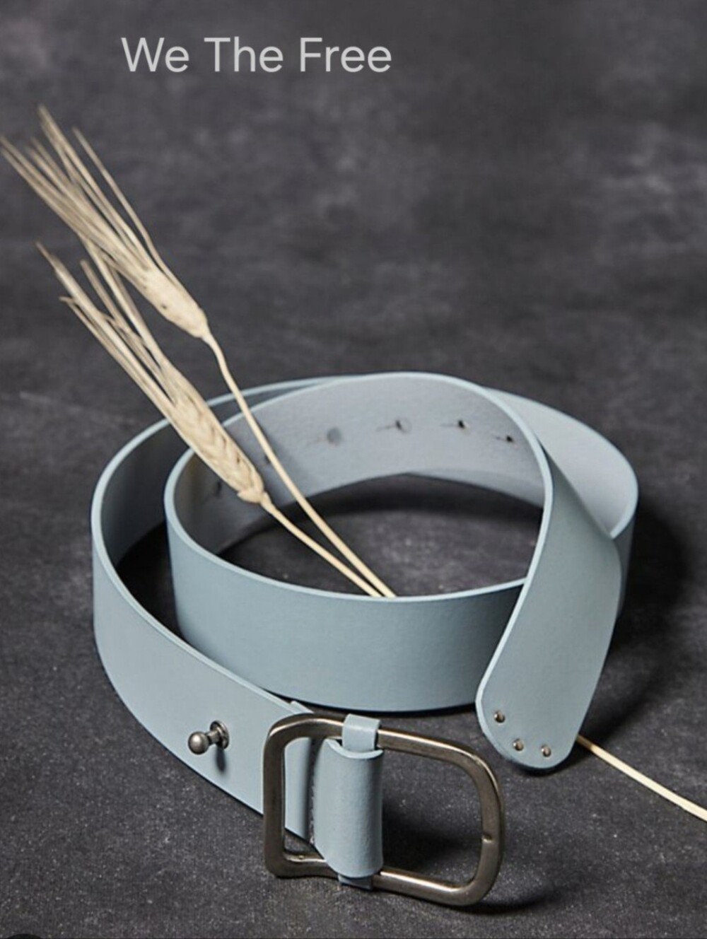 We The Free Gallo Grey Leather Belt with Metal Buckle NWT XS/S